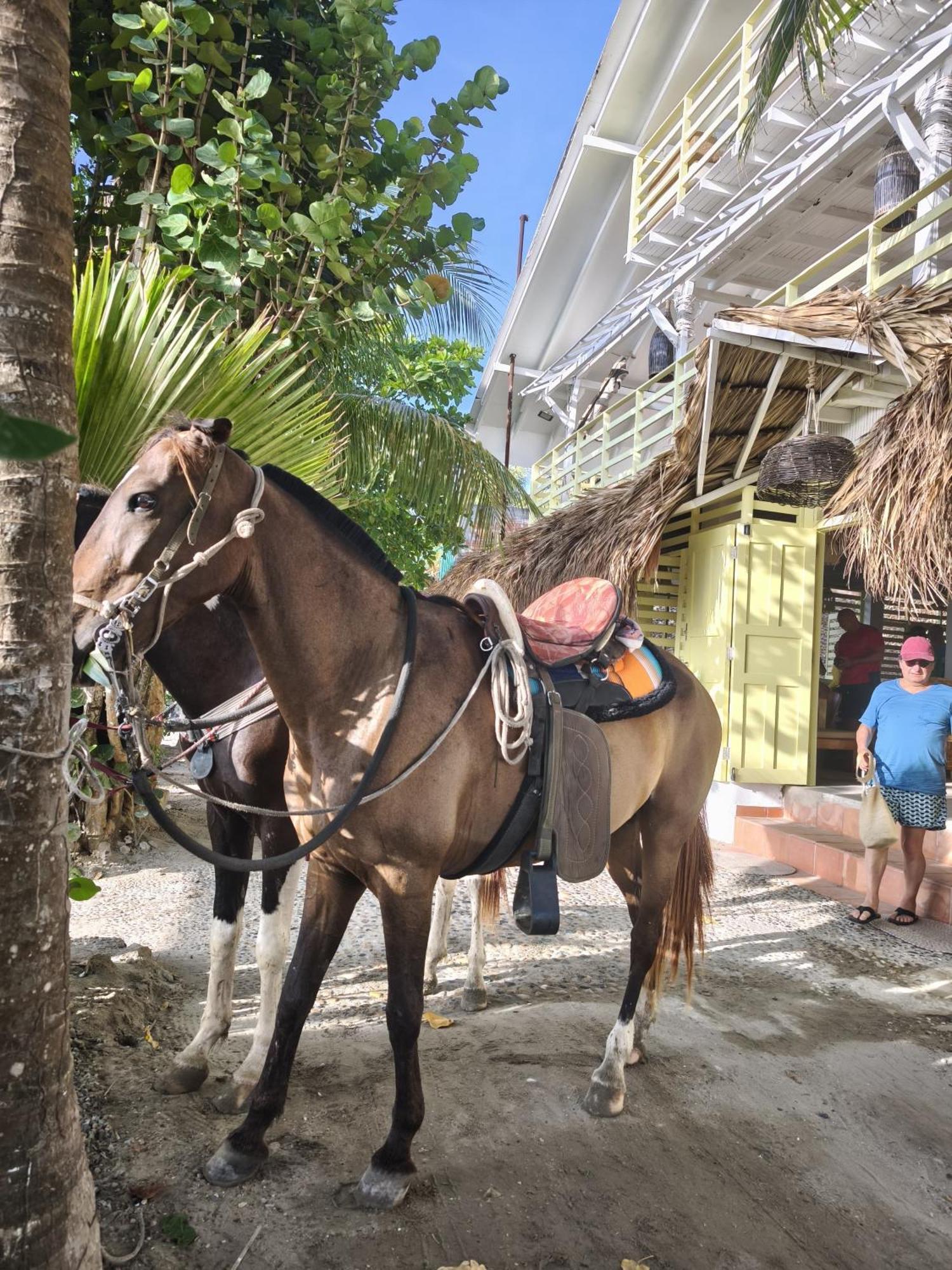 Guest house Playa Banana Manzanillo Del Mar *